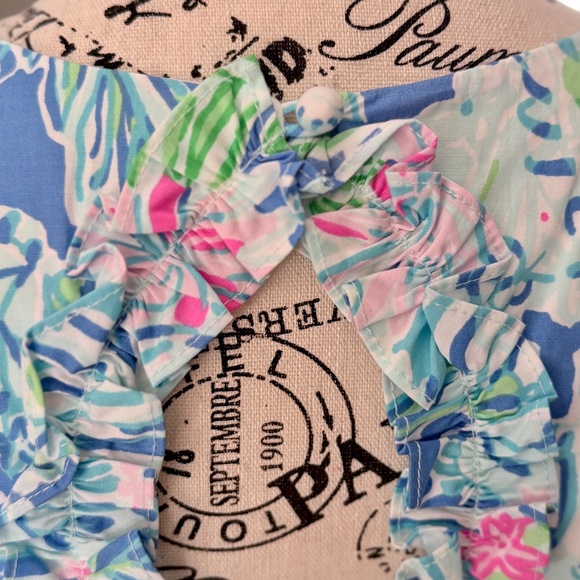 LILLY PULITZER | Fiesta Stretch Dress in Coastal Blue/Lion Around, size 2 - Picture 5 of 9